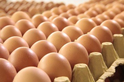烟台鸡蛋检测价格,鸡蛋检测机构,鸡蛋检测项目,鸡蛋常规检测